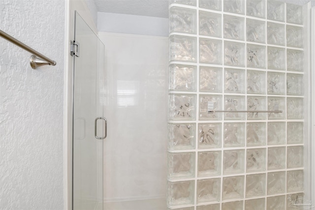 bathroom featuring a shower with shower door