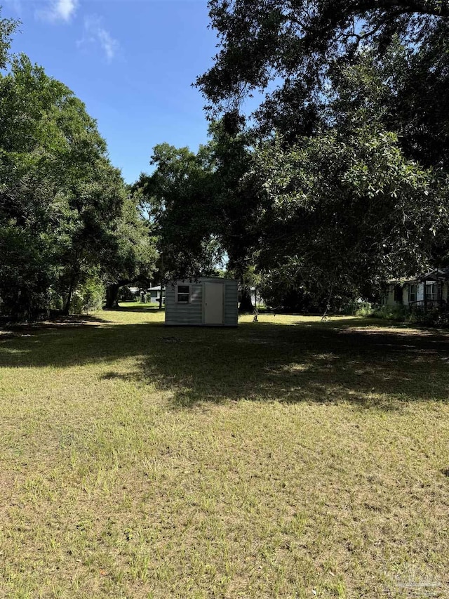 view of yard featuring a shed