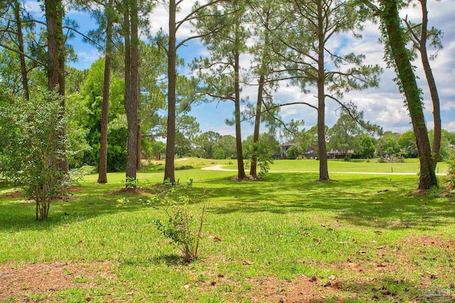 view of grassy yard