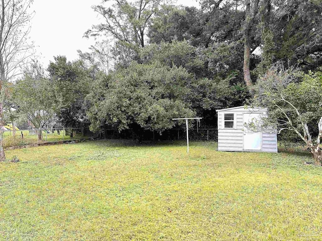 view of yard with a shed