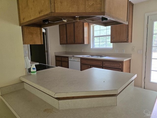 kitchen featuring white dishwasher, light countertops, a sink, and a wealth of natural light