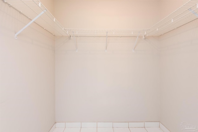 308 Twisted Oak Dr, Cantonment, FL 32533 - view of walk in closet