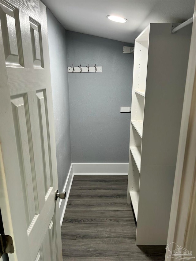 walk in closet with dark hardwood / wood-style flooring