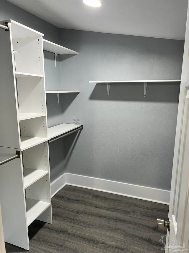 walk in closet with dark wood-type flooring