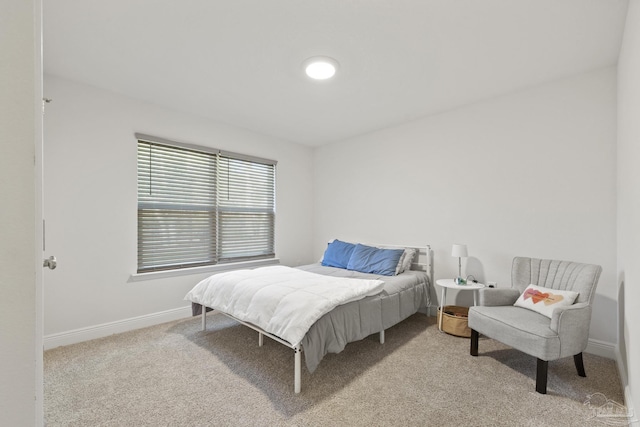 bedroom with carpet floors and baseboards