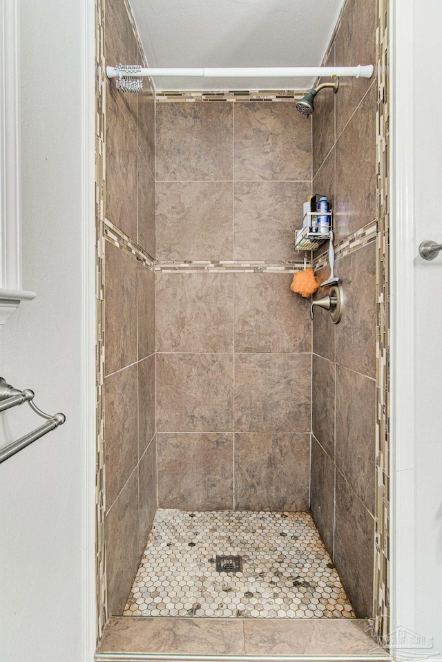 bathroom featuring a shower stall