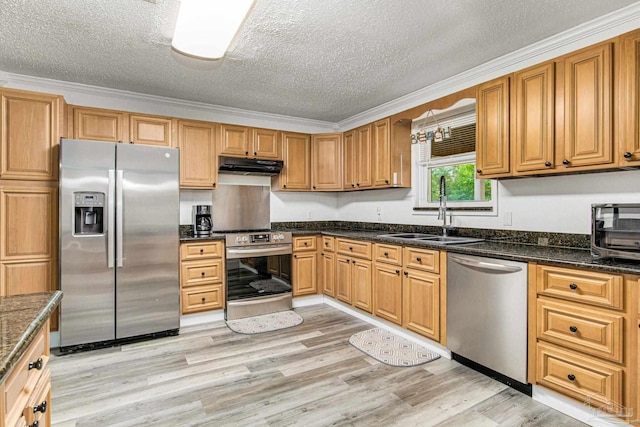 kitchen with light wood finished floors, under cabinet range hood, ornamental molding, appliances with stainless steel finishes, and a sink