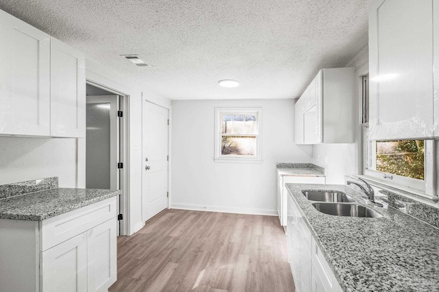 kitchen featuring white cabinets, plenty of natural light, and sink