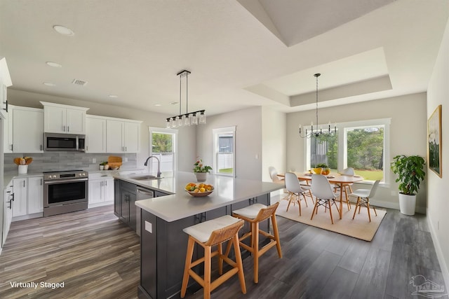 kitchen featuring a sink, dark wood finished floors, a chandelier, and stainless steel appliances