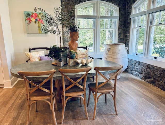 dining area with hardwood / wood-style floors and a wealth of natural light