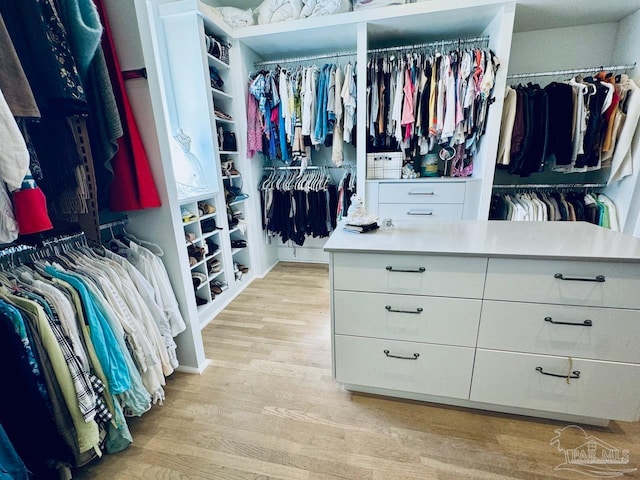 spacious closet featuring light hardwood / wood-style flooring