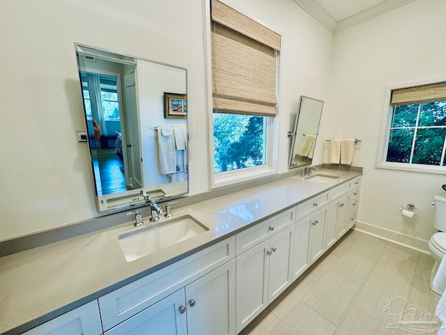 bathroom featuring toilet, crown molding, and vanity