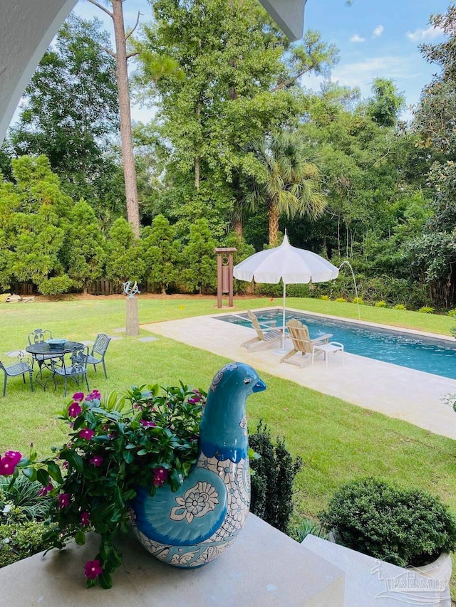 view of swimming pool featuring a patio and a lawn