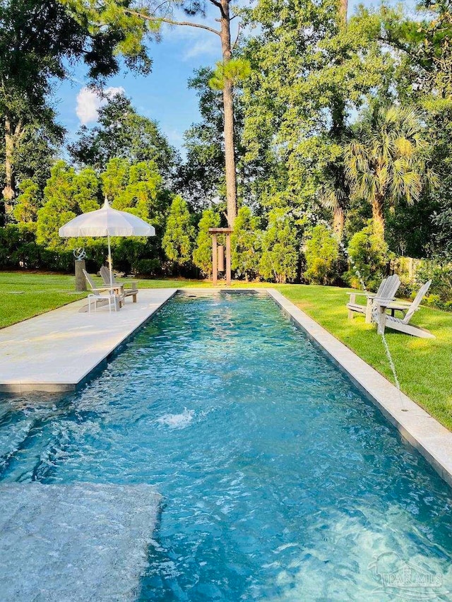 view of pool featuring a patio and a yard