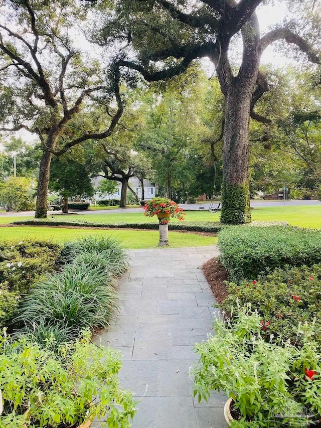 view of property's community with a yard