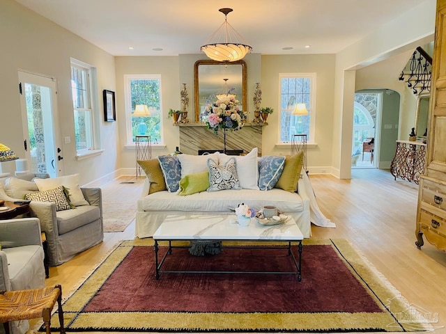 living room featuring a healthy amount of sunlight and light hardwood / wood-style flooring