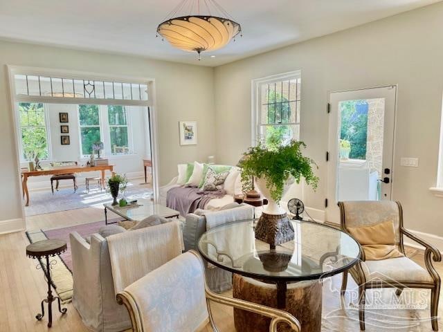 living area featuring light hardwood / wood-style floors and a wealth of natural light