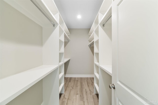 2098 Anna Ct, Milton, FL 32583 - walk in closet with light wood-style flooring