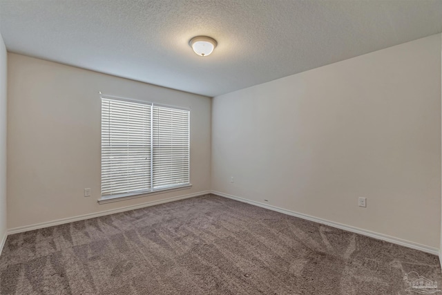 empty room with carpet floors and a textured ceiling