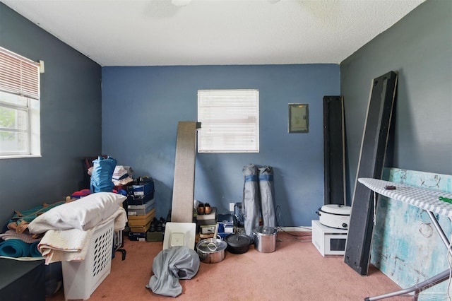bedroom featuring carpet flooring