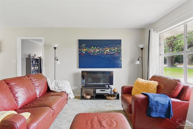 living area featuring carpet floors
