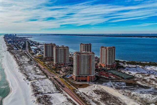 bird's eye view with a water view and a view of the beach