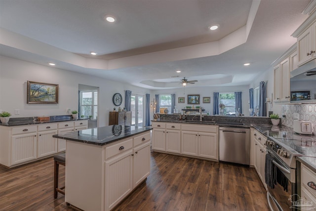 kitchen with stainless steel appliances, a peninsula, a tray ceiling, recessed lighting, and dark wood-type flooring