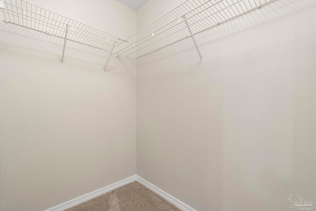 1978 Coral Reef Rd, Pensacola, FL 32506 - walk in closet with carpet