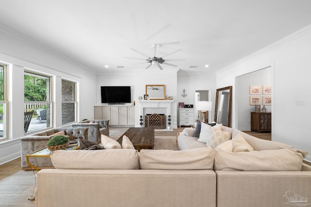 living room featuring light hardwood / wood-style floors, ornamental molding, and ceiling fan