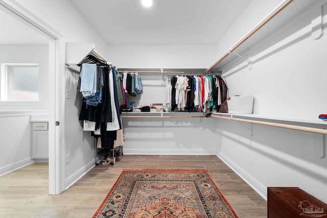 spacious closet featuring light hardwood / wood-style flooring