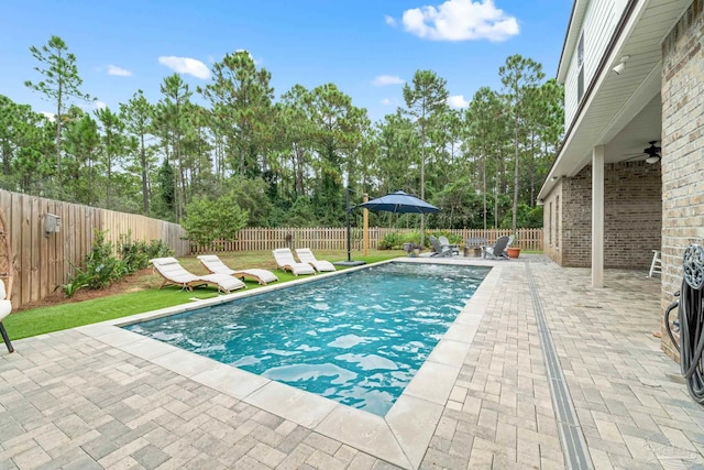 view of swimming pool with a patio area and ceiling fan