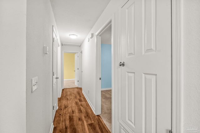 hall featuring dark hardwood / wood-style floors