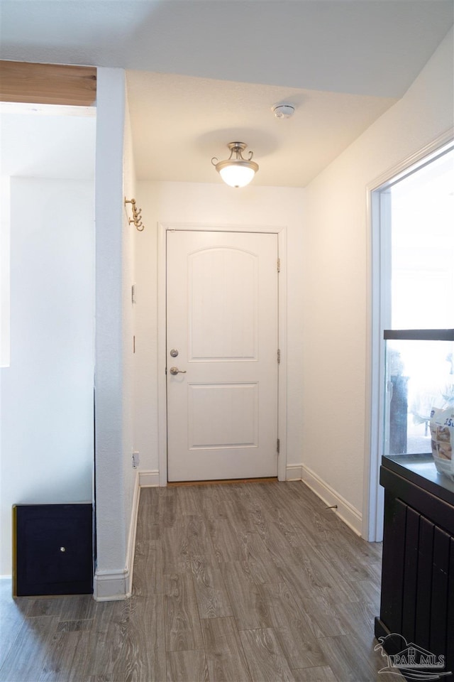 entryway featuring hardwood / wood-style flooring