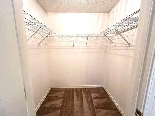 walk in closet with carpet floors