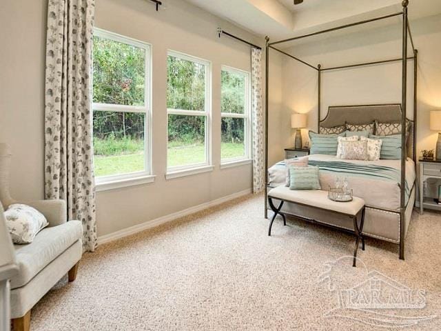 bedroom featuring carpet floors