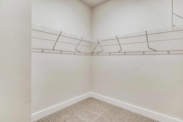 walk in closet with carpet