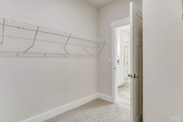 walk in closet with carpet floors