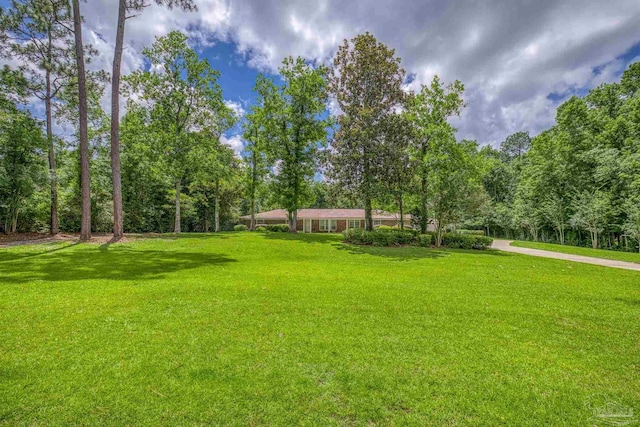 1213 Tecumseh Pl, Pensacola, FL 32514 - view of green lawn