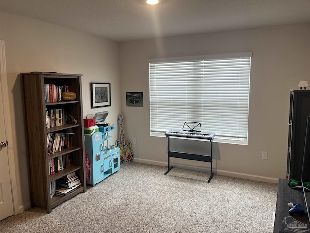 miscellaneous room featuring baseboards, a wealth of natural light, and carpet