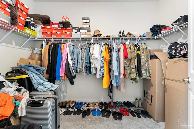 124 Polo Ter, Pensacola, FL 32534 - walk in closet with carpet floors