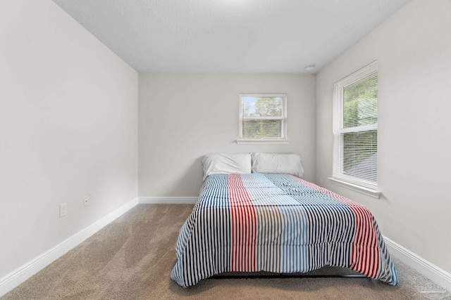 124 Polo Ter, Pensacola, FL 32534 - bedroom featuring baseboards and carpet floors