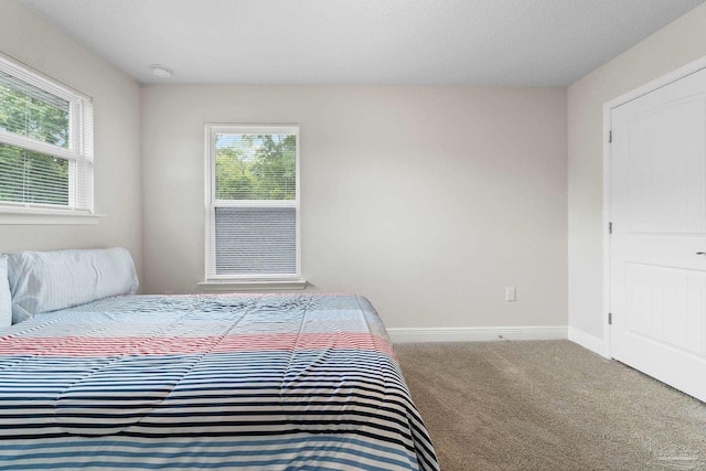 124 Polo Ter, Pensacola, FL 32534 - bedroom featuring carpet floors and baseboards