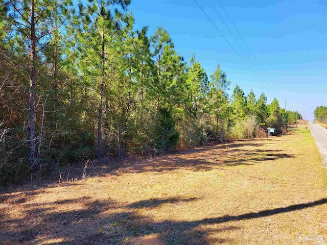 Listing photo 3 for 16-BR Buffalo Ridge Rd, Pace FL 32571