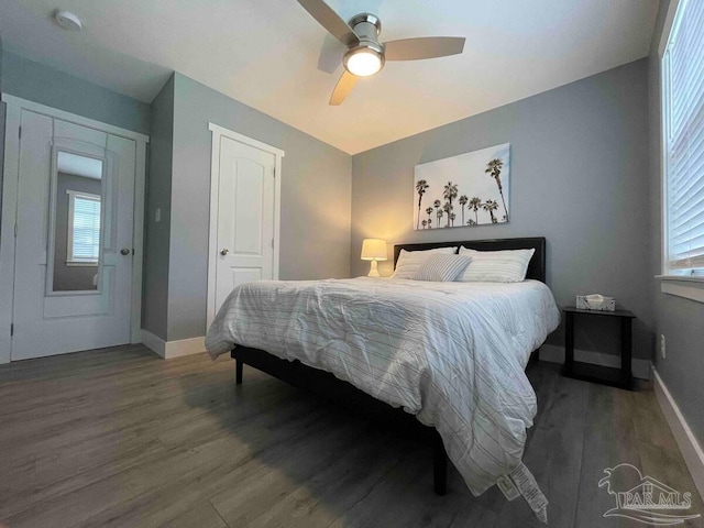 bedroom featuring ceiling fan, a closet, and dark hardwood / wood-style floors