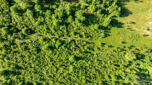 000 Tidwell Rd, Pace FL, 32571 land for sale