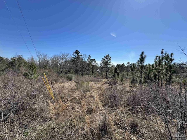 LOT2 Will Jones Rd, Jay FL, 32565 land for sale