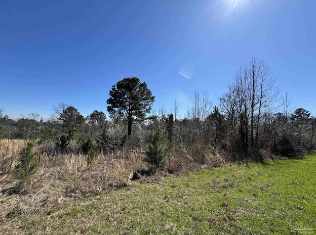 Listing photo 2 for LOT2 Will Jones Rd, Jay FL 32565