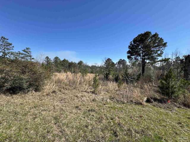 Listing photo 3 for LOT2 Will Jones Rd, Jay FL 32565