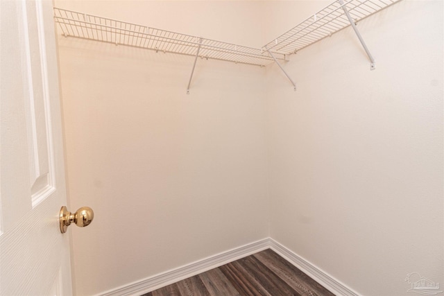 walk in closet featuring dark wood-style flooring