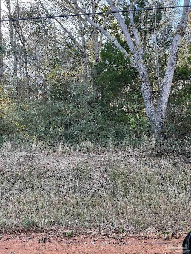 550 Jacks Branch Rd, Cantonment, FL 32533